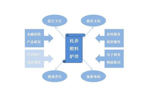 互聯(lián)網(wǎng)養(yǎng)老服務(wù)系統(tǒng) 信息服務(wù)的創(chuàng)新與變革