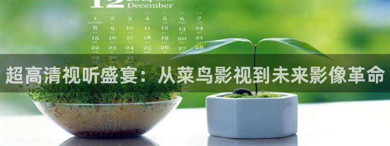 酷客影院視頻在線觀看：超高清視聽(tīng)盛宴：從菜鳥(niǎo)影視到未來(lái)影像革命