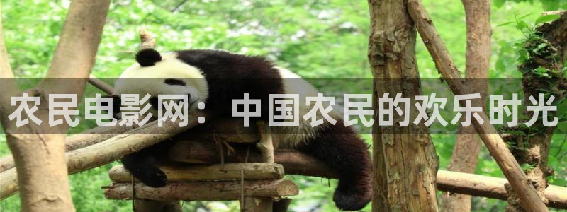 酷客影院女兒的朋友：農民電影網：中國農民的歡樂時光