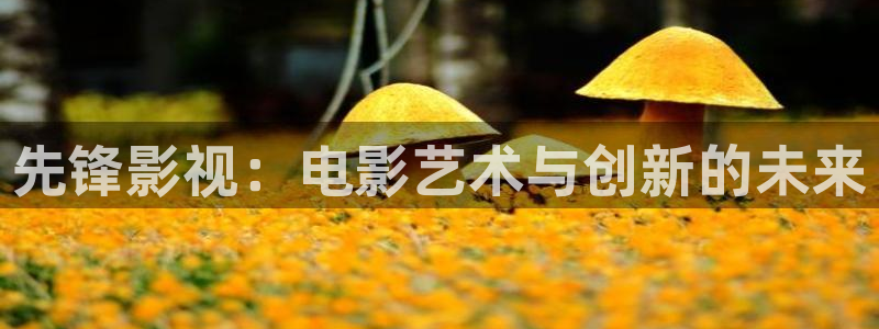 酷客影視免費觀看大全：先鋒影視：電影藝術與創新的未來